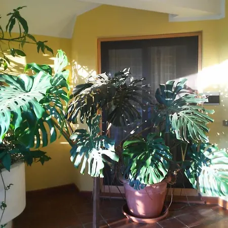 Appartement Il Sole Con Veranda Vicino Al Mare Santa Maria Navarrese