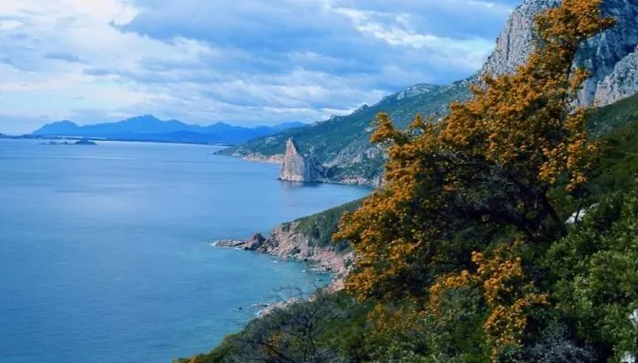 Il Sole Iun R0020 Daire