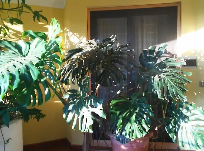 Apartman Il Sole Iun R0020 Santa Maria Navarrese