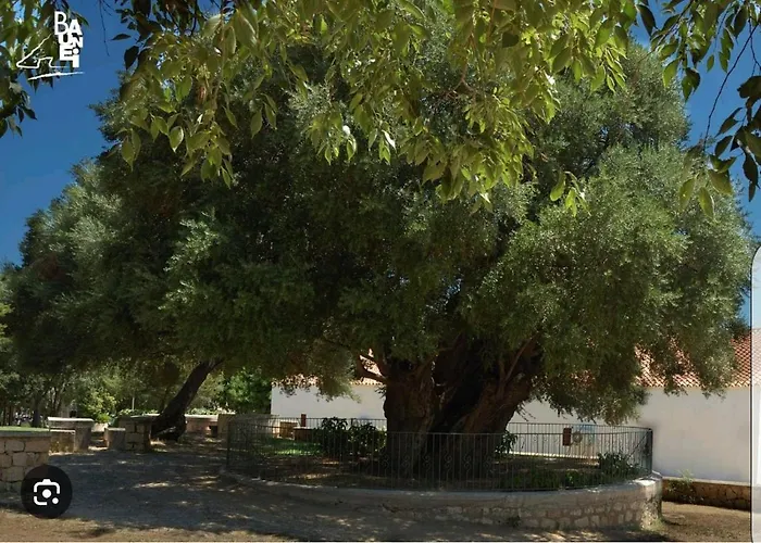 Il Sole Iun R0020 Daire Santa Maria Navarrese